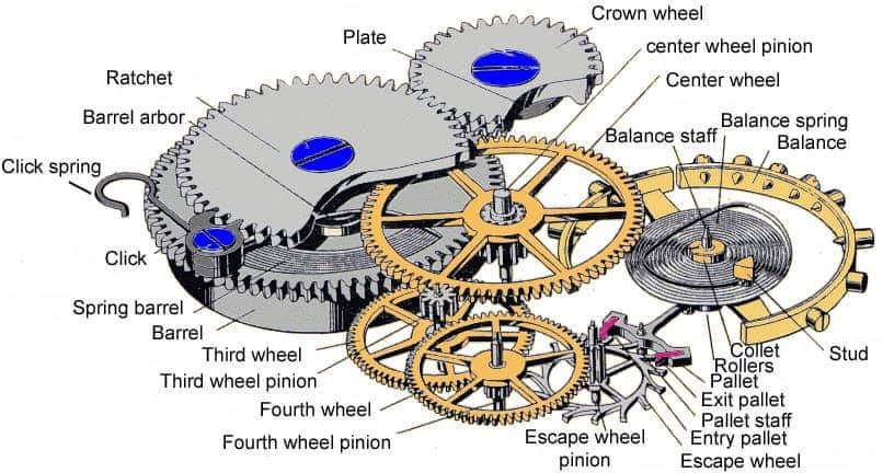 Exploded view of a movement